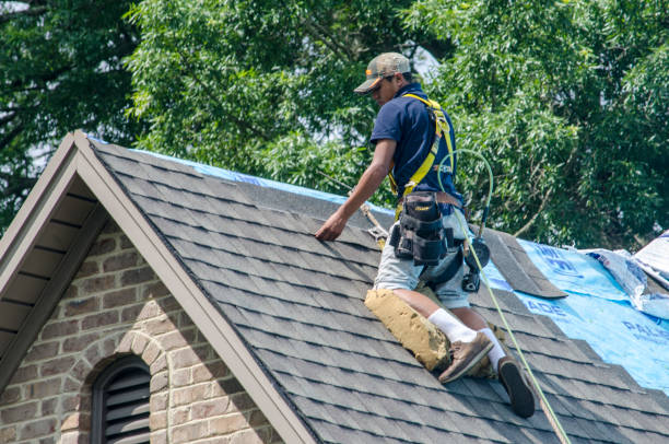 Best Sealant for Roof  in Richmond Hill, GA